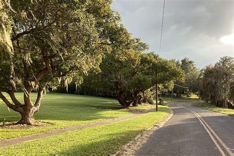 grow healthy lake wales